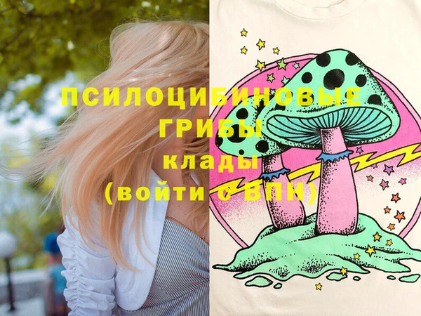 альфа пвп Семикаракорск