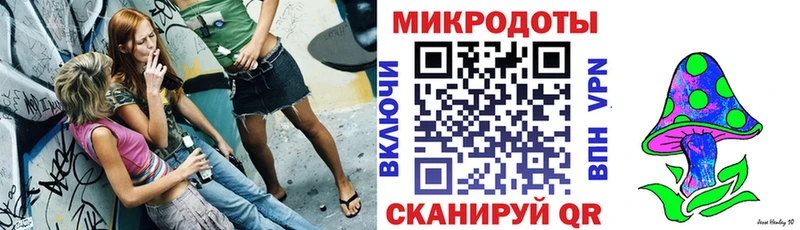 Псилоцибиновые грибы Psilocybine cubensis  Купить где  Тайга 